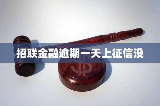招联金融逾期一天上征信没
