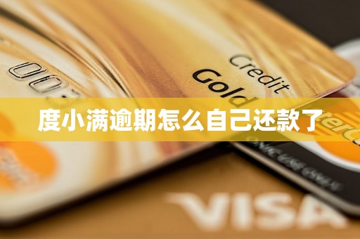 度小满逾期怎么自己还款了