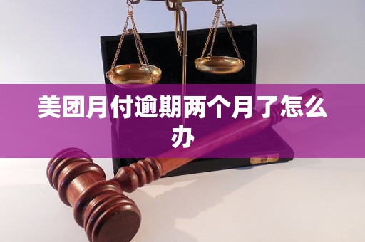 美团月付逾期两个月了怎么办