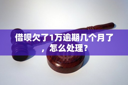 借呗欠了1万逾期几个月了，怎么处理？