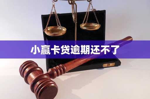 小赢卡贷逾期还不了