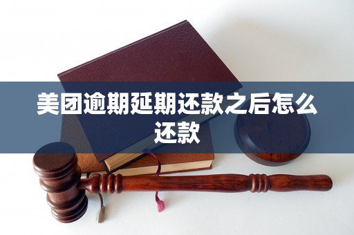 美团逾期延期还款之后怎么还款