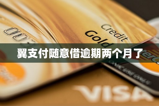 翼支付随意借逾期两个月了 翼支付随意借逾期两个月了