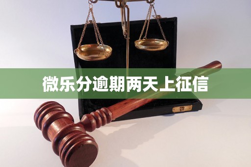 微乐分逾期两天上征信