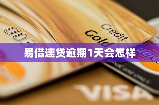 易借速贷逾期1天会怎样