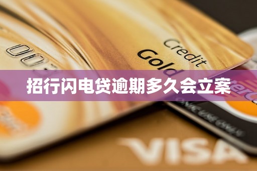 招行闪电贷逾期多久会立案