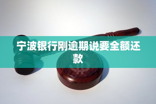 宁波银行刚逾期说要全额还款