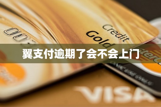 翼支付逾期了会不会上门
