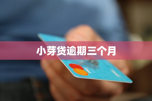 小芽贷逾期三个月