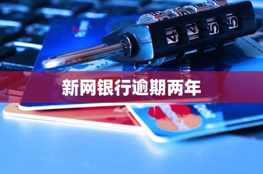 新网银行逾期两年