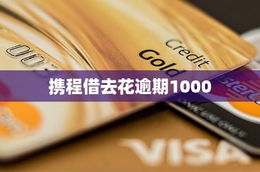 携程借去花逾期1000