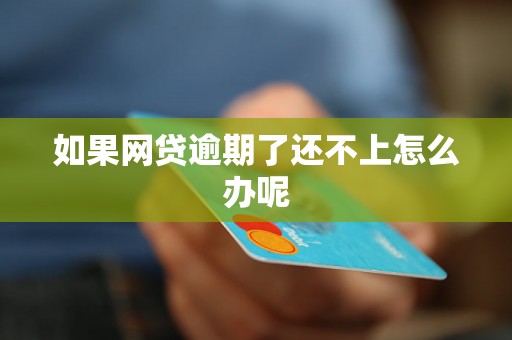 如果网贷逾期了还不上怎么办呢