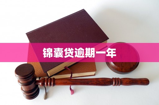锦囊贷逾期一年 锦囊贷逾期一年