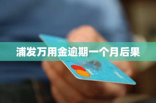 浦发万用金逾期一个月后果