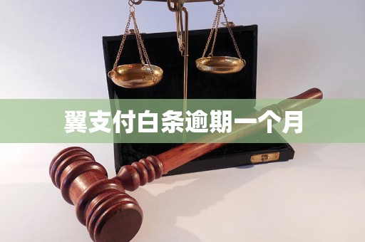 翼支付白条逾期一个月