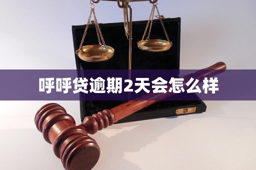 呼呼贷逾期2天会怎么样 呼呼贷逾期2天会怎么样