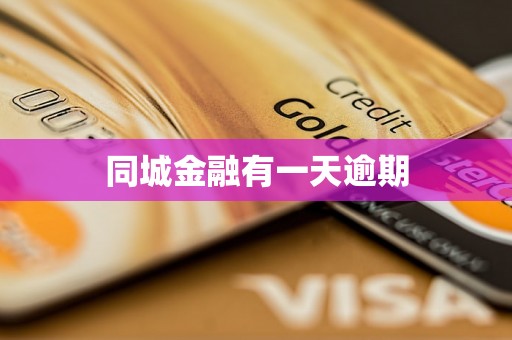 同城金融有一天逾期 同城金融有一天逾期