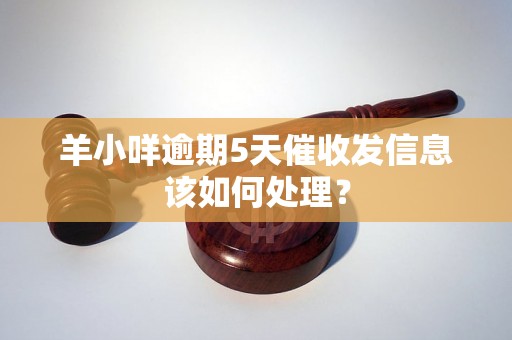 羊小咩逾期5天催收发信息该如何处理？