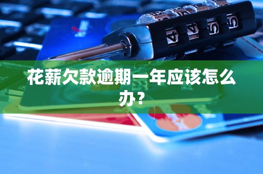 花薪欠款逾期一年应该怎么办? 花薪欠款逾期一年应该怎么办?