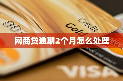 网商贷逾期2个月怎么处理