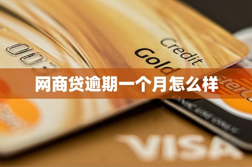 网商贷逾期一个月怎么样