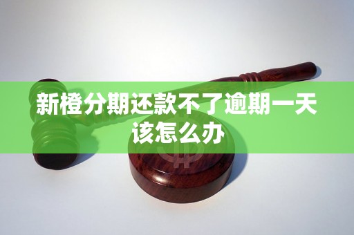 新橙分期还款不了逾期一天该怎么办 新橙分期还款不了逾期一天该怎么办