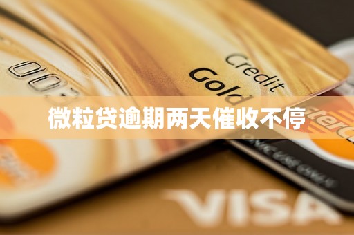 微粒贷逾期两天催收不停