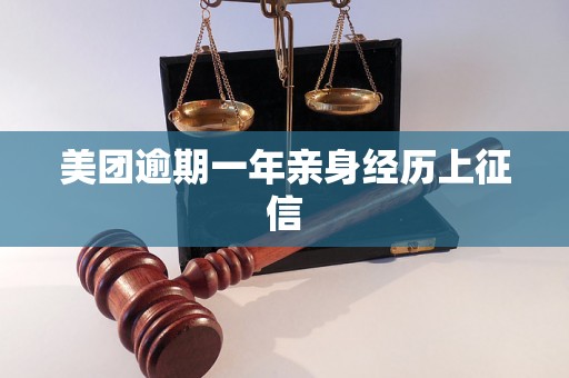 美团逾期一年亲身经历上征信