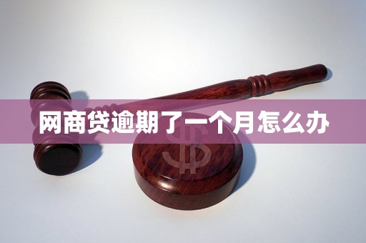网商贷逾期了一个月怎么办