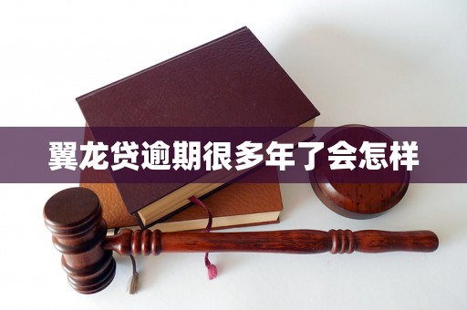 翼龙贷逾期很多年了会怎样