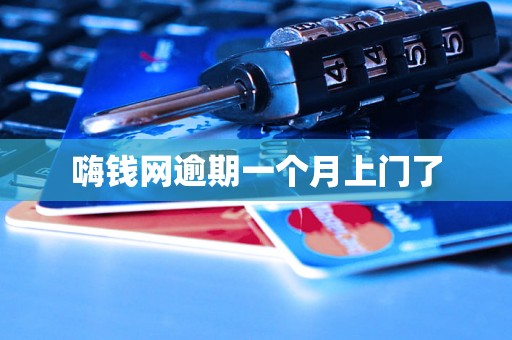 嗨钱网逾期一个月上门了