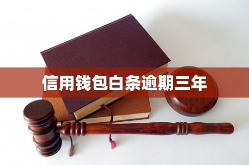 信用钱包白条逾期三年