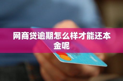 网商贷逾期怎么样才能还本金呢