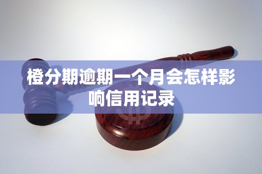橙分期逾期一个月会怎样影响信用记录