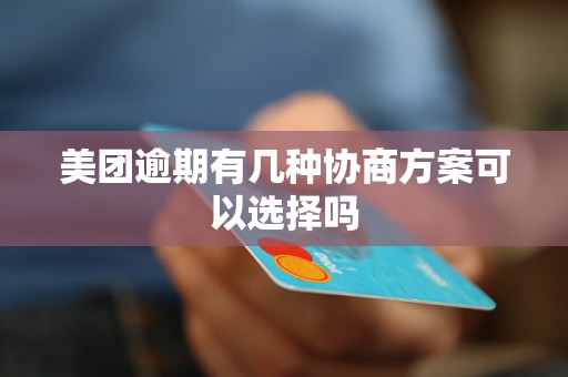 美团逾期有几种协商方案可以选择吗 美团逾期有几种协商方案可以选择吗