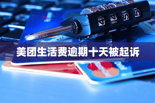 美团生活费逾期十天被起诉