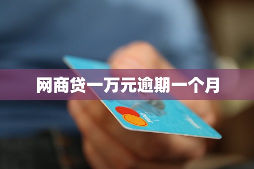 网商贷一万元逾期一个月