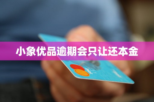 小象优品逾期会只让还本金