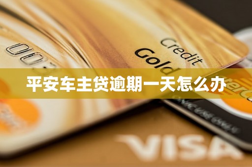 平安车主贷逾期一天怎么办