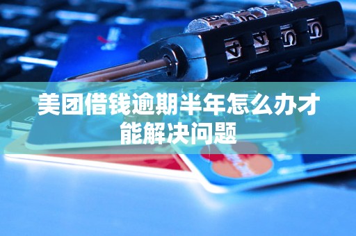 美团借钱逾期半年怎么办才能解决问题