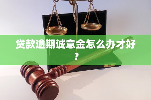 贷款逾期诚意金怎么办才好？