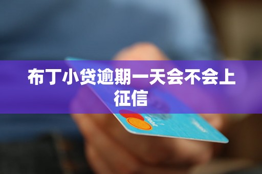 布丁小贷逾期一天会不会上征信 布丁小贷逾期一天会不会上征信