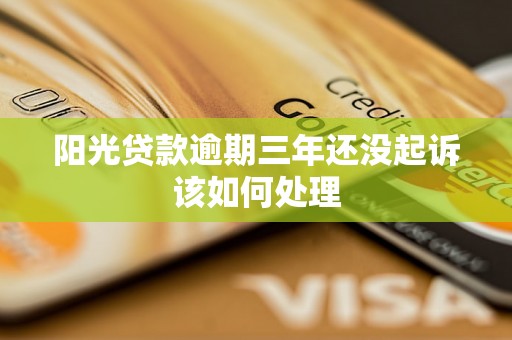 阳光贷款逾期三年还没起诉该如何处理