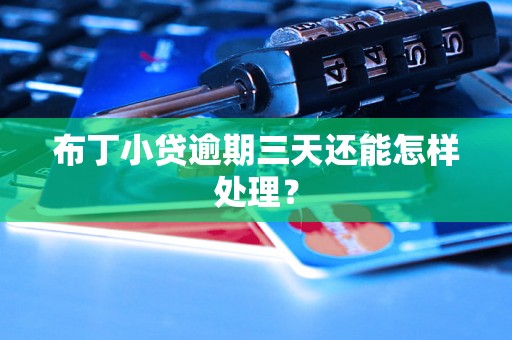 布丁小贷逾期三天还能怎样处理? 布丁小贷逾期三天还能怎样处理?