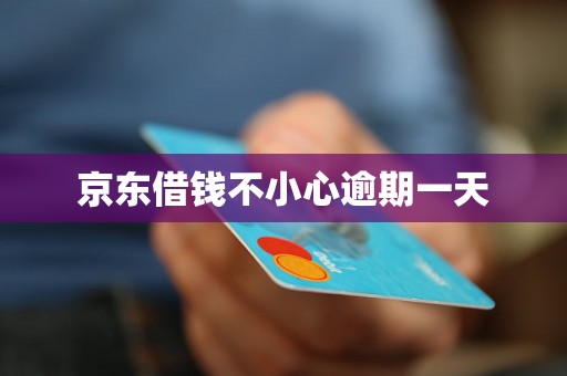京东借钱不小心逾期一天