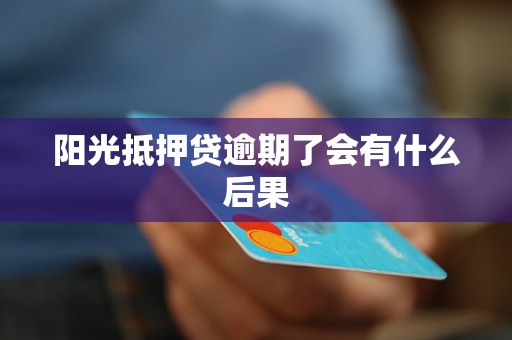 阳光抵押贷逾期了会有什么后果