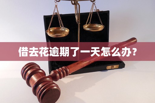 借去花逾期了一天怎么办? 借去花逾期了一天怎么办?