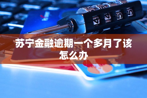 苏宁金融逾期一个多月了该怎么办