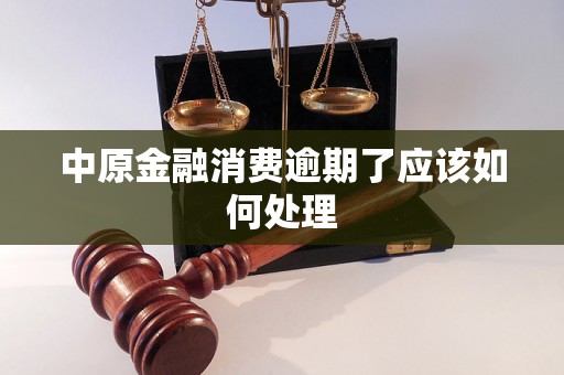 中原金融消费逾期了应该如何处理