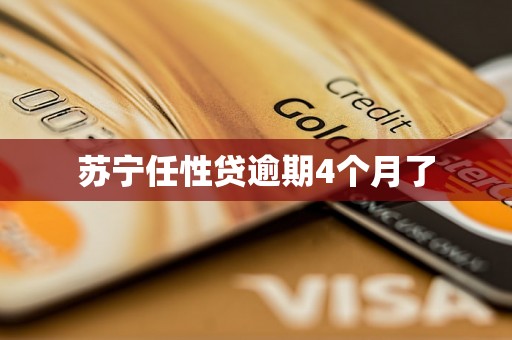 苏宁任性贷逾期4个月了